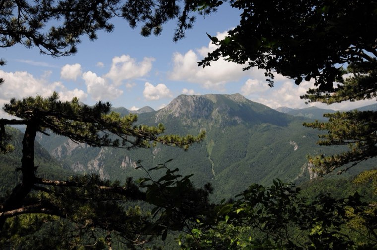 NP Sutjeska
