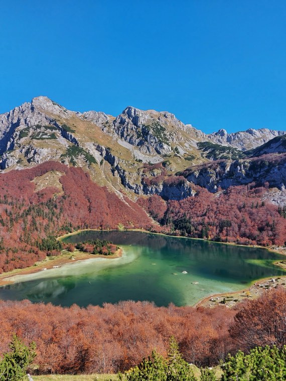 Trnovačko jezero